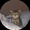 mymilott