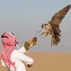 mahmad_38