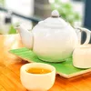 trangon.vn