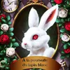 borristherabbit