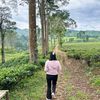 izpurwanti06