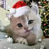 tprtpr23