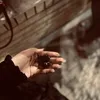 bkd_19a