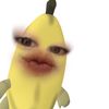 siskolbncijnjii