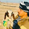ali_jabary2