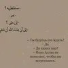 shatoy.1744