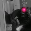 ahmed_meteally