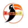hornbill_1
