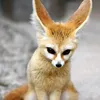 yellowlufiyt