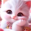 loulou144dz