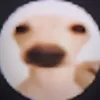 ilvmiqezz