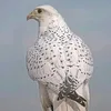 ma_rt39
