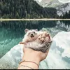 clem_mail