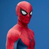 Spider10