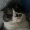 haivuong20