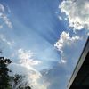 dav_050290