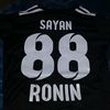 sayan2014_