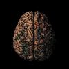 asessionwiththeself