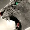 marzf3374