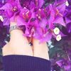 zainhassein