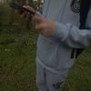 dash.261