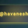 havanesh