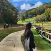 zhangjenny0