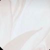 sh_alm93
