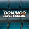 Domingo Espetacular