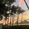 _brandylo28