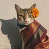 prashna__07