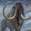 mammoth_gaming_21810