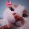 urfav_k4dija
