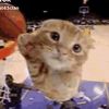 ballincatfan122