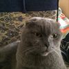 user125310837
