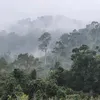 changlu8