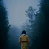 nn_gg22