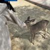 val_magg1