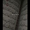 user866408388