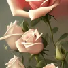 nousa70a
