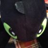 vegacir