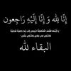 mahmoudalhaddar3