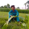alihamzaoffical21
