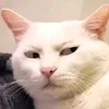 calvinsantos12