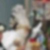 mixeddumpfrom_butter