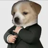 koldammm