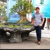 bonsaiqviet0987853939