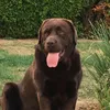 pepette_77