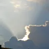 dardix_84