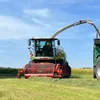 lieblingslohner